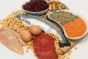 I cibi che possiamo mangiare durante una dieta proteica