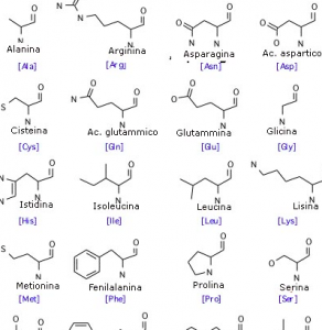 aminoacidi