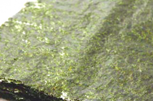 alga nori
