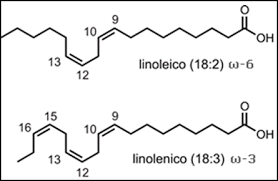 acido linoleico