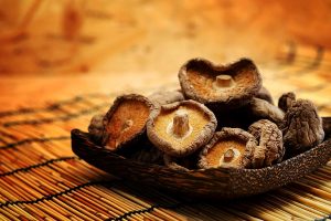 Funghi lentinula e dieta
