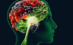 Dieta MIND: benessere per il nostro cervello