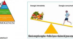 termogenesi dieta