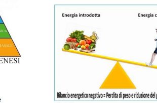 termogenesi dieta