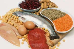 I cibi che possiamo mangiare durante una dieta proteica