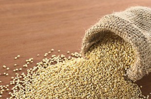 La quinoa, grande alimento