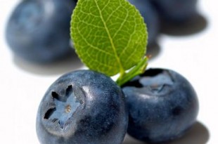 blueberry dieta