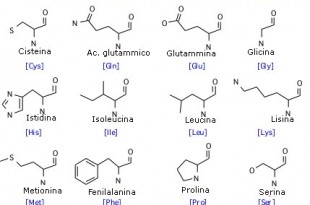 aminoacidi