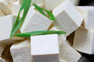 tofu dieta
