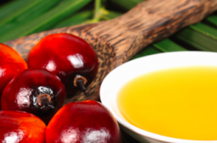 olio di palma dieta